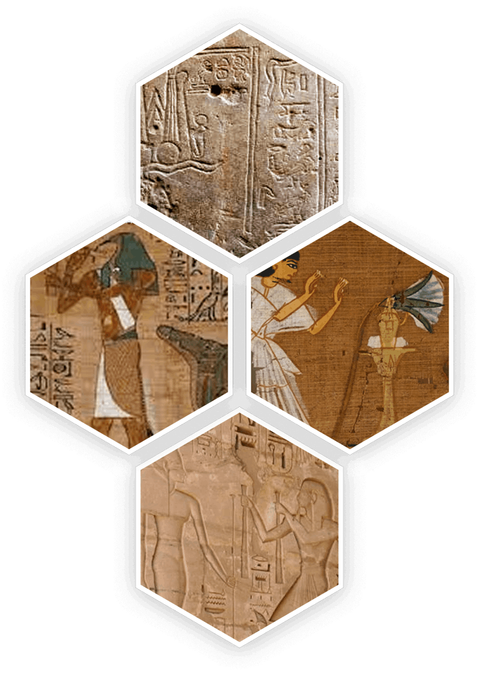 Pyramid Wealth Frequency